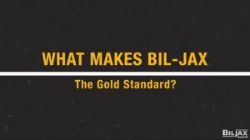 gold-bil-jax-standard
